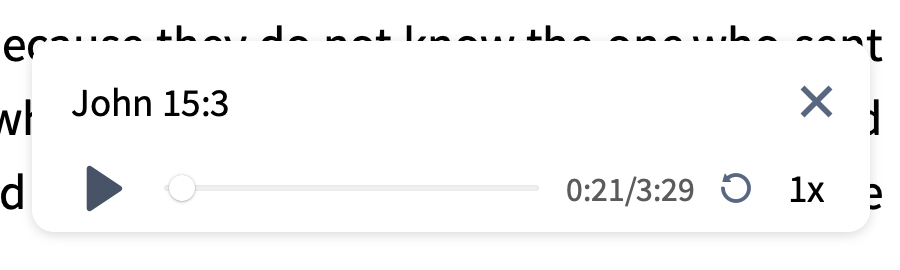 Media Player Controls