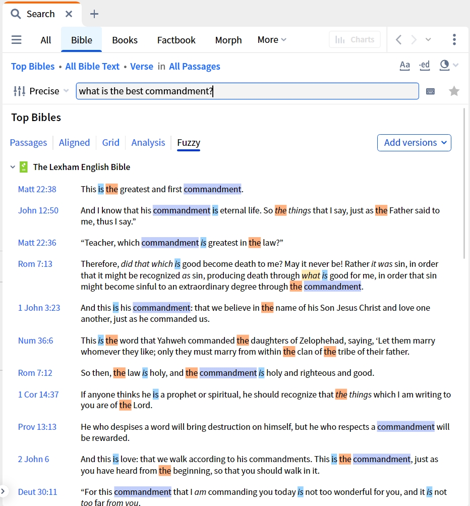 Bible Search - Fuzzy View
