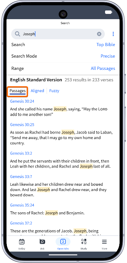 Mobile - Search Passages View